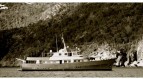 Motor yacht�LA FENICE